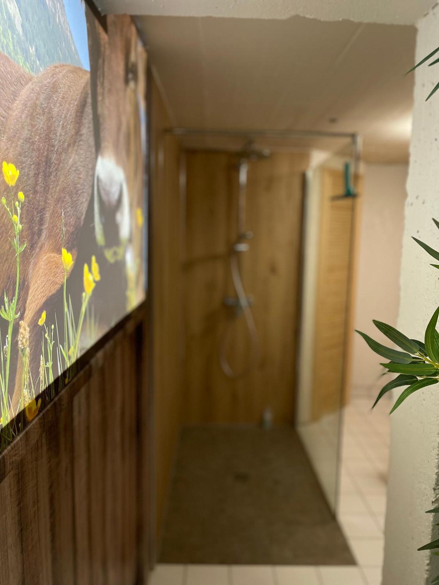 Ferienwohnung Am Muehlbach 21 Mit Bergbahn Unlimited Oberstdorf Exterior foto